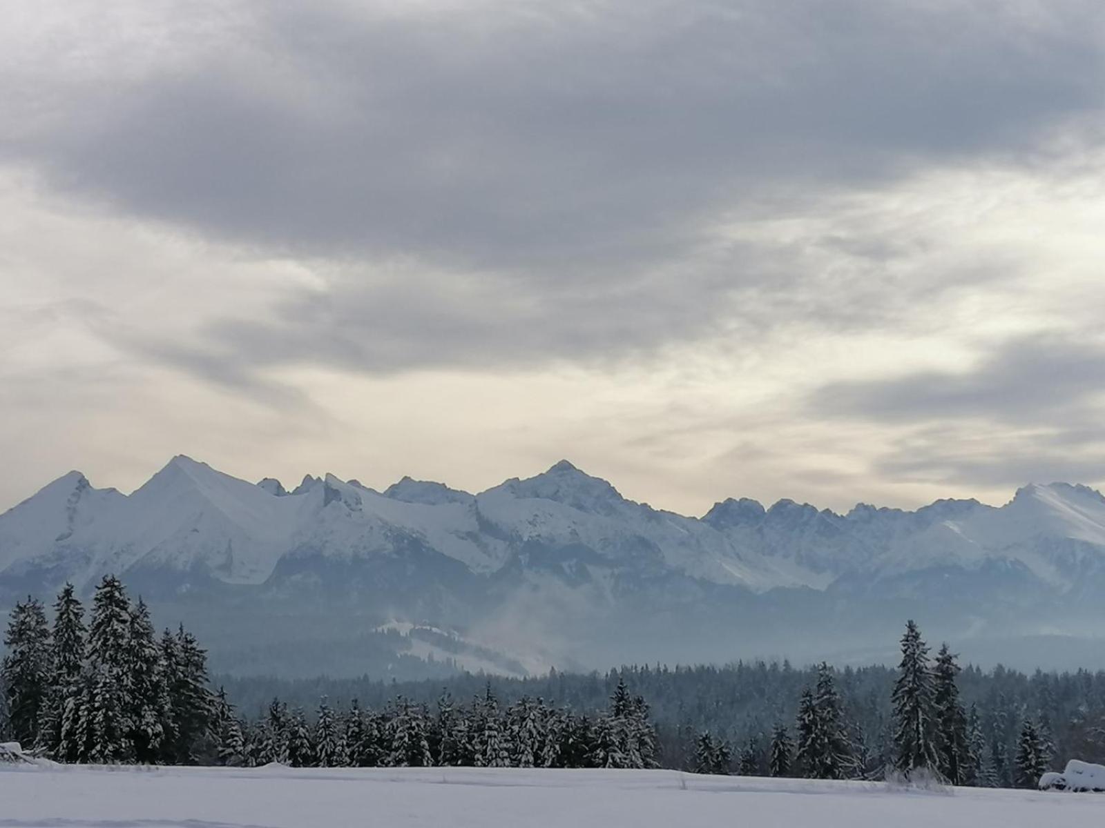 Wioska Rusinski Bukowina Tatrzańska Exteriör bild